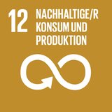 SDG SDG 12