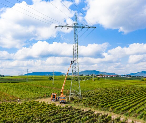 Pfalzwerke Netz | © Pfalzwerke Netz