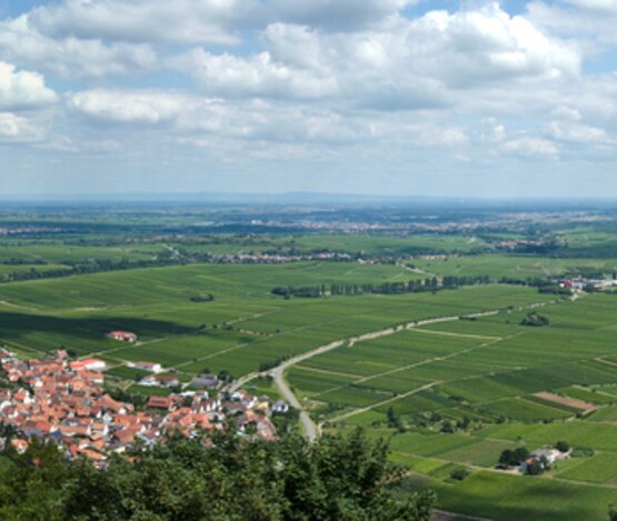 Blick auf Eschbach, Pfalz