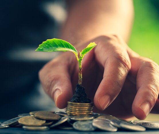 iStock.com/Aekkasit Rakrodjit | © iStock.com/Aekkasit Rakrodjit