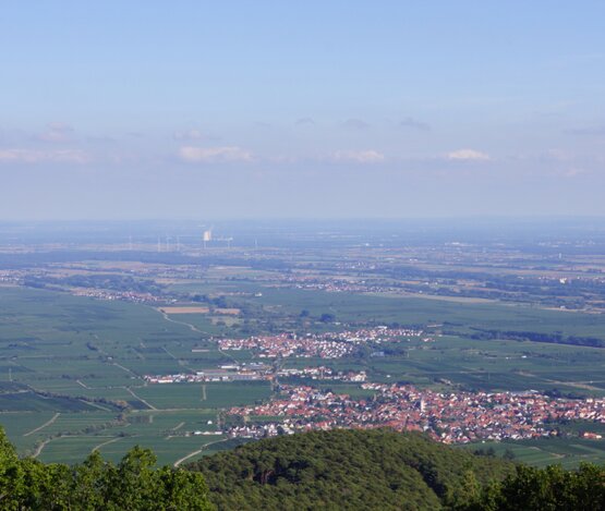 Blick auf Maikammer