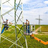 Moneteure arbeiten mit Hubsteiger an Strommast | © Pfalzwerke Netz