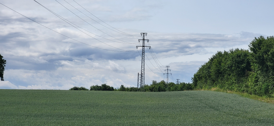 Alter Strommast wird durch neuen Mast ersetzt | © Pfalzwerke
