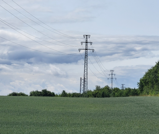 Alter Strommast wird durch neuen Mast ersetzt | © Pfalzwerke