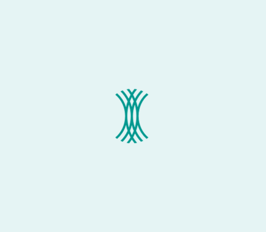 Pfalzwerke Netz Icon
